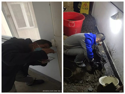 1583201255930.jpg 20200225135500085568.jpg