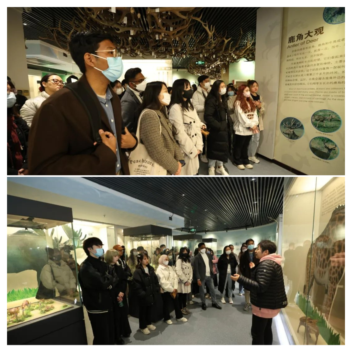 1680143731986.jpg 1680143731986.jpg